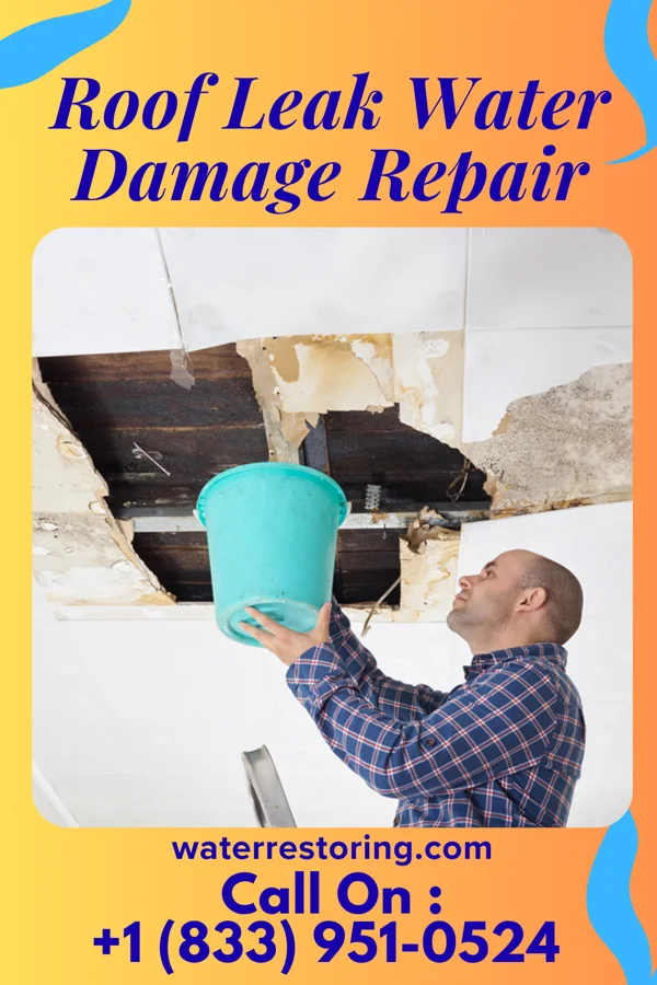 Roof Leak Water Damage Repair in Aurora, SD